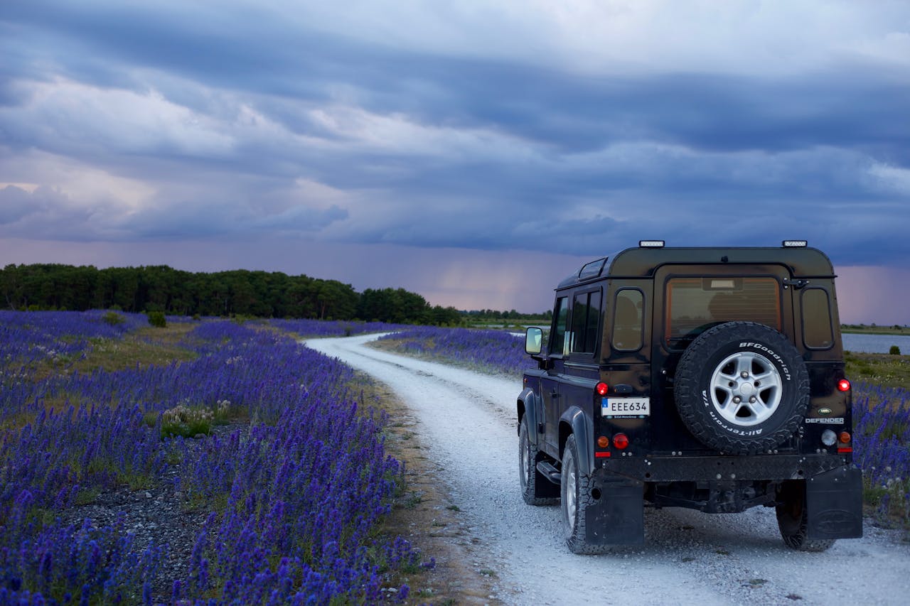 The Most Frequently Rented Cars